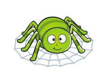 seo收录案例分析蜘蛛池真的能收录网站吗